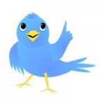 Twitter Bird