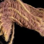 Biblical 'Royal' Purple Cloth Scraps From Era Of Kings David, Solomon Found In Israel