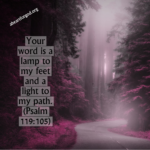 Your Word Is A Lamp To My Feet And A Light To My Path