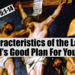 7 Characteristics Of The Lamb And God's Good Plan For Your Life (Video Version)